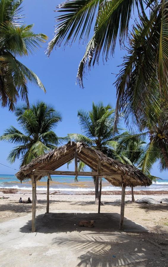 Barahona La Casita De Maryヴィラ エクステリア 写真